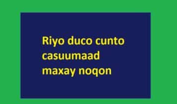 Riyo duco cunto casuumaad  maxay noqon