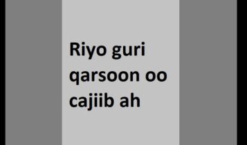 Riyo guri qarsoon oo cajiib ah