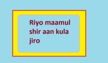 Riyo maamul shir aan kula jiro