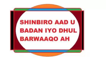 SHINBIRO AAD U BADAN IYO DHUL BARWAAQO AH SHINBIRO AAD U BADAN IYO DHUL BARWAAQO AH
