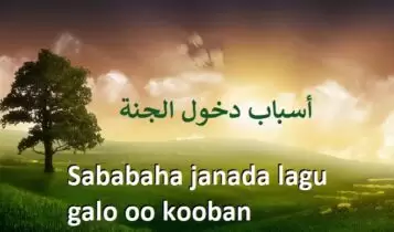 Sababaha janada lagu galo oo kooban