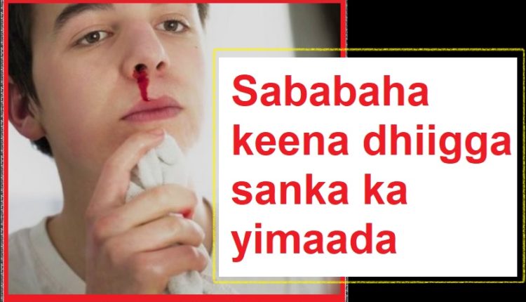 Sababaha keena dhiigga sanka ka yimaada