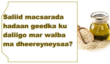 Saliid macsarada hadaan geedka ku daliigo mar walba ma dheereyneysaa?