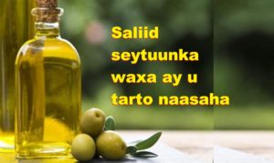 Saliid seytuunka waxa ay u tarto naasaha