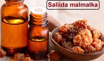 Saliida malmalka saliid malmal