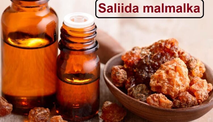 Saliida malmalka saliid malmal