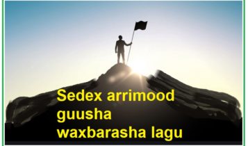 Sedex arrimood guusha waxbarasha lagu gaaro