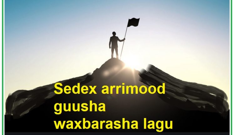 Sedex arrimood guusha waxbarasha lagu gaaro1