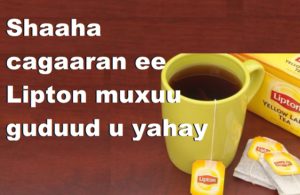 Shaaha cagaaran ee Lipton muxuu guduud u yahay