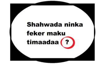 Shahwada ninka feker maku timaadaa