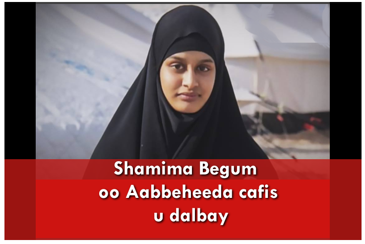 Shamima Begum oo Aabbeheeda cafis u dalbay