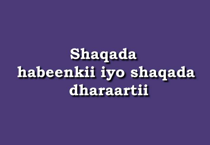 Shaqada habeenkii iyo shaqada dharaartii