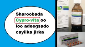 Sharoobada Cypro-vita oo loo adeegsado cayilka jirka