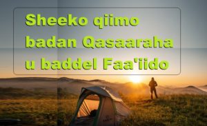 Sheeko qiimo badan Qasaaraha u baddel Faa'iido