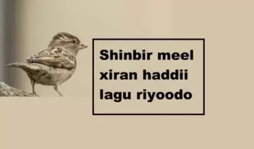 Shinbir meel xiran haddii lagu riyoodo Shinbir meel xiran haddii lagu riyoodo