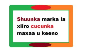 Shuunka marka la xiiro cucunka maxaa u keeno