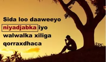 Sida loo daaweeyo niyadjabka iyo walwalka xiliga qorraxdhaca Sida loo daaweeyo niyadjabka iyo walwalka xiliga qorraxdhaca
