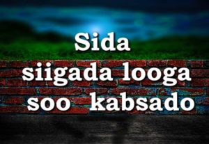 Sida siigada looga soo kabsado