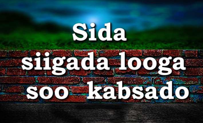 Sida siigada looga soo kabsado