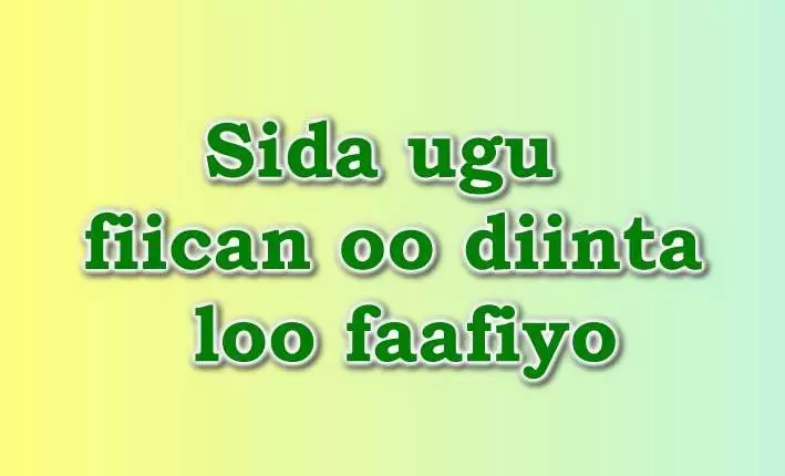 Sida ugu fiican oo diinta loo faafiyo