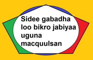 Sidee gabadha loo bikro jabiyaa uguna macquulsan