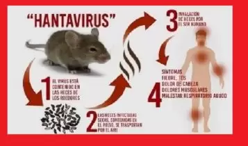 Sida lagu garto cudurka cusub Hantavirus Sidee lagu gartaa cudurka cusub Hantavirus