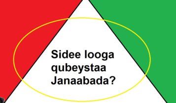 Sidee looga qubeystaa Janaabada?