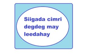 Siigada cimri degdeg may leedahay