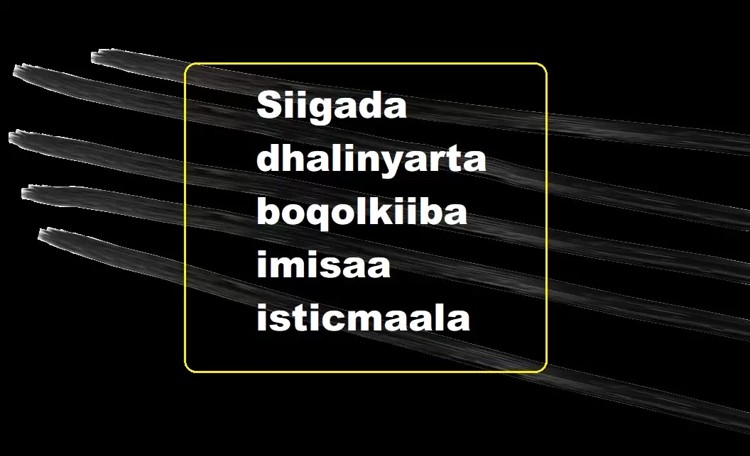 Siigada dhalinyarta boqolkiiba imisaa isticmaala