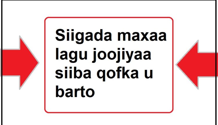 Siigada maxaa lagu joojiyaa siiba qofka u barto