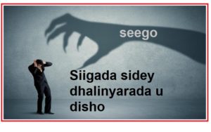 Siigada sidey dhalinyarada u disho