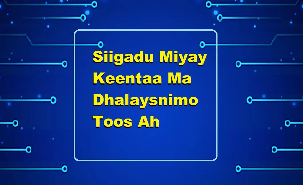 Siigadu Miyay Keentaa Ma Dhalaysnimo Toos Ah