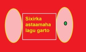 Sixirka astaamaha lagu garto