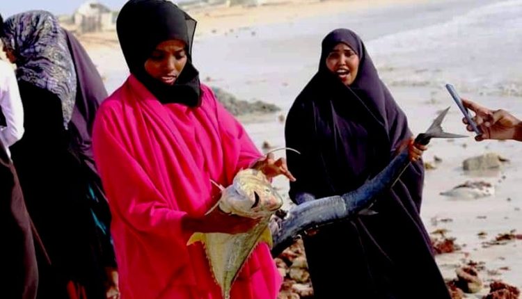 Somali women and fish