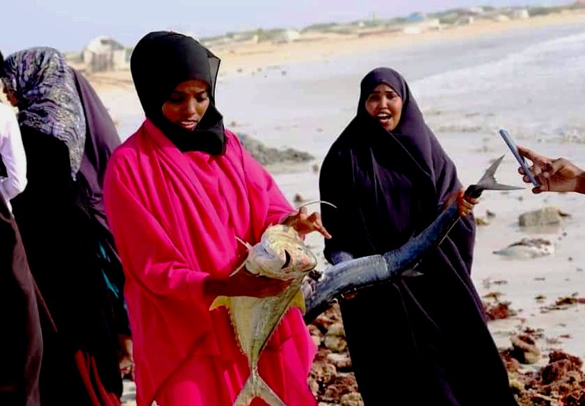 Somali one of the best country to hunting a fish