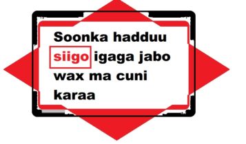 Soonka hadduu siigo igaga jabo wax ma cuni karaa