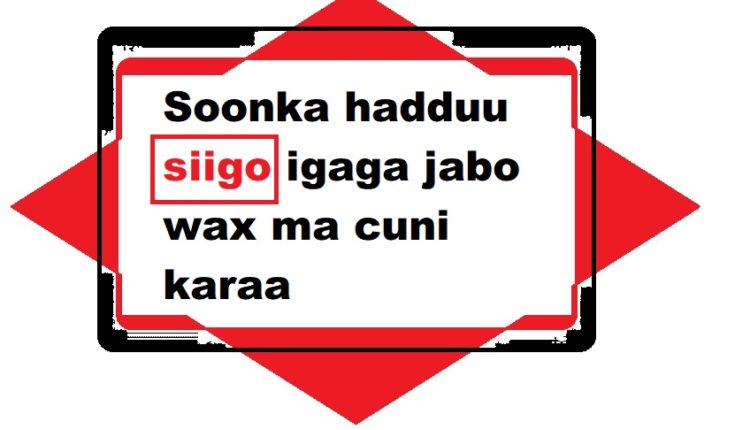 Soonka hadduu siigo igaga jabo wax ma cuni karaa