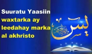 Suuratu Yaasiin waxtarka ay leedahay marka al akhristo Suuratu Yaasiin waxtarka ay leedahay marka al akhristo