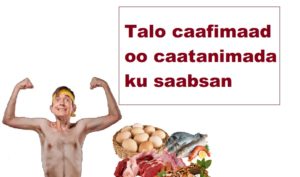 Talo caafimaad oo caatanimada ku saabsan