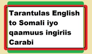 Tarantulas English to Somali iyo qaamuus ingiriis Carabi