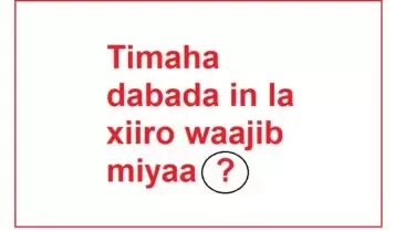 Timaha dabada in la xiiro waajib miyaa Timaha dabada in la xiiro waajib miyaa