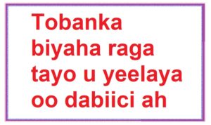 Tobanka biyaha raga tayo u yeelaya oo dabiici ah oo kordhiya manida