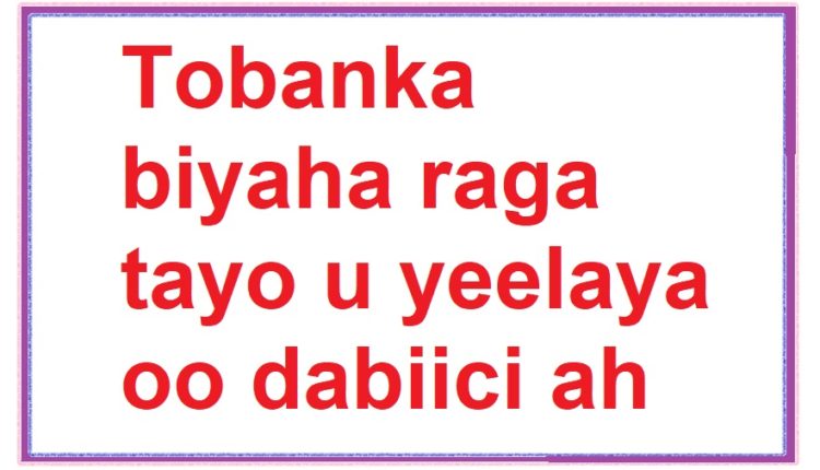 Tobanka biyaha raga tayo u yeelaya oo dabiici ah oo kordhiya manida