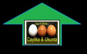 U ukunta iyo cayilka jirka Eggs and body's Obesity