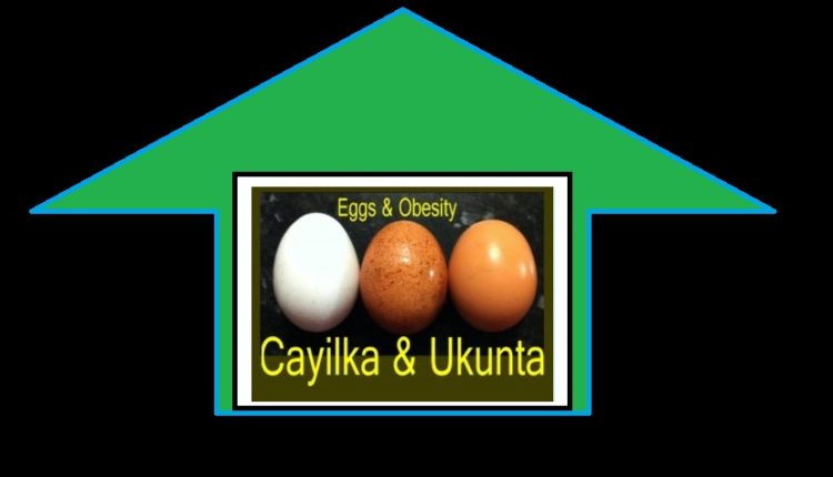 U ukunta iyo cayilka jirka Eggs and body’s Obesity 1