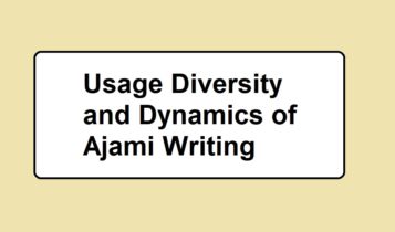 Usage Diversity and Dynamics of Ajami Writing