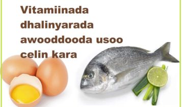 Vitamiinada dhalinyarada awooddooda usoo celin kara