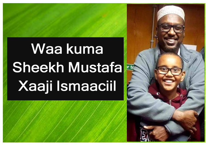 Waa kuma Sheekh Mustafa Xaaji Ismaaciil