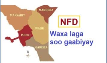 Waa maxay NFD maxaa laga soo gaabiyay