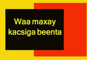 Waa maxay kacsiga beenta 